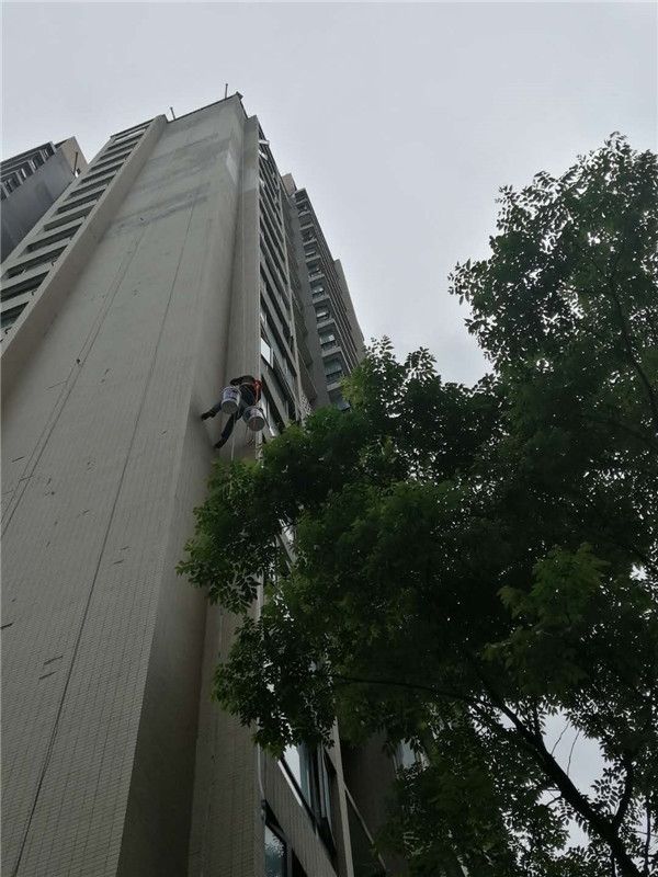微信圖片_20200429225527.jpg
